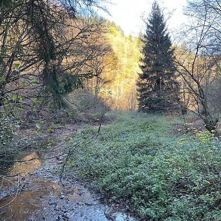 Ferienwohnung Sofie Mastershausen Zewnętrze zdjęcie